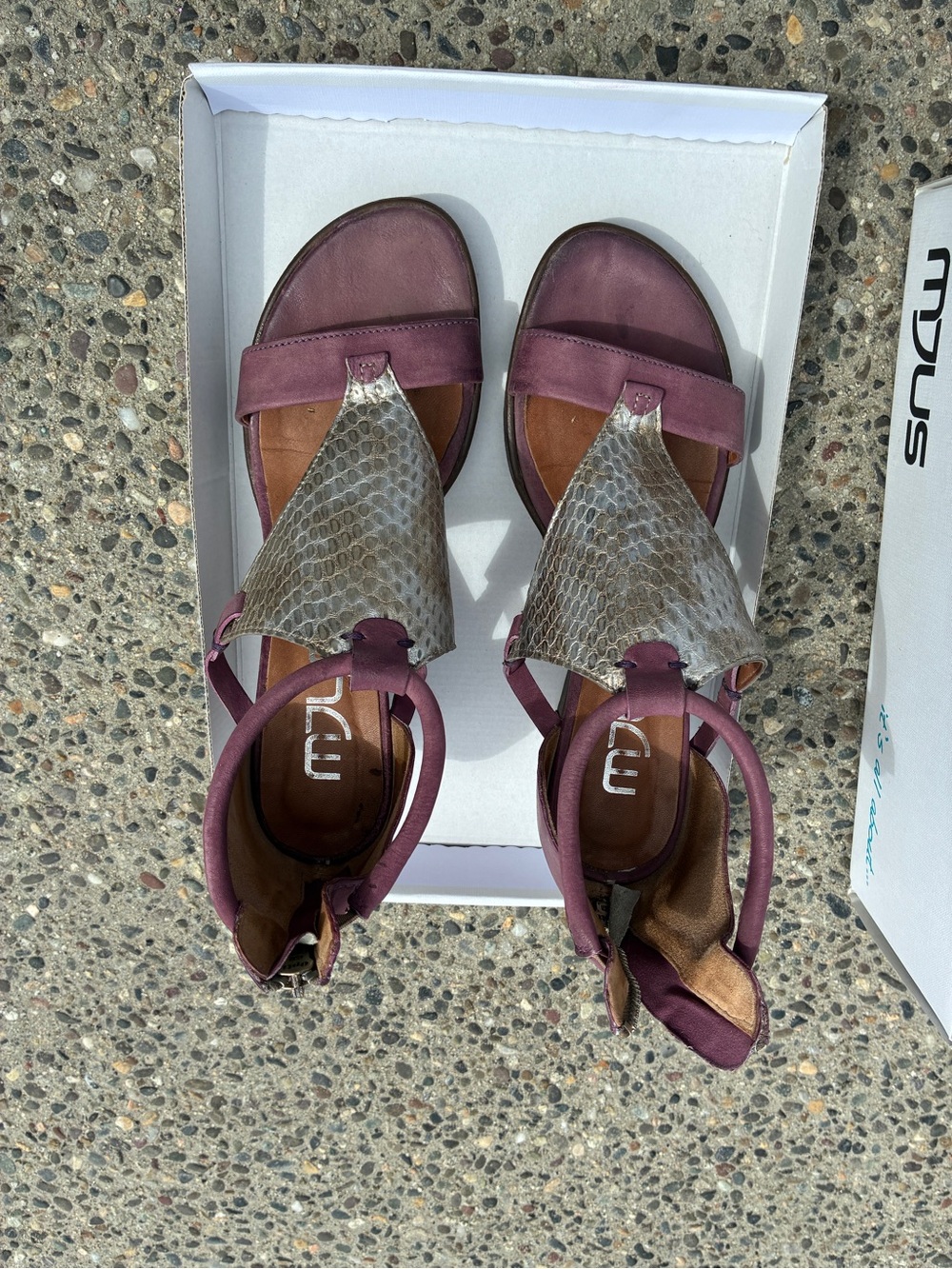 MJUS - Plum Leather Sandals with Snake-Print T Panel